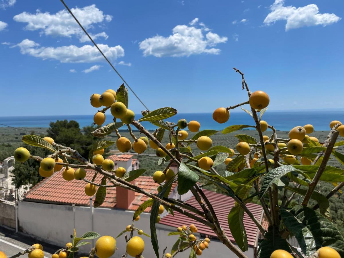 Villetta - Qui Dove Il Mare Luccica - Affitti Brevi Italia Monte SantʼAngelo Екстериор снимка