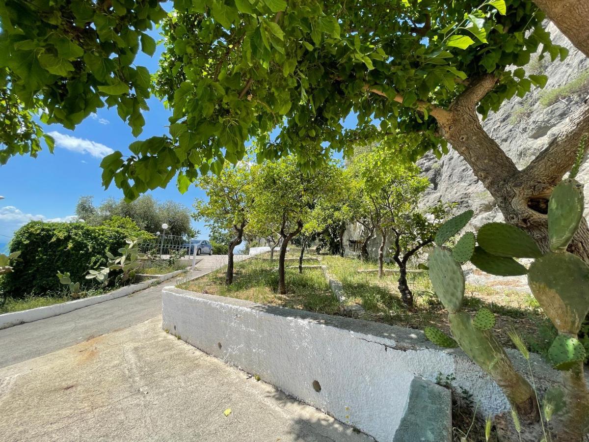 Villetta - Qui Dove Il Mare Luccica - Affitti Brevi Italia Monte SantʼAngelo Екстериор снимка