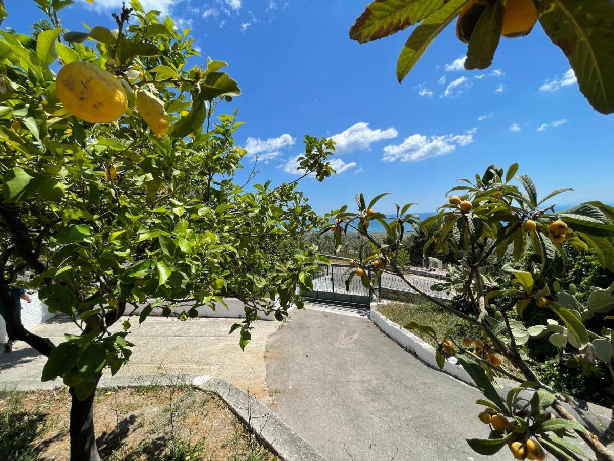 Villetta - Qui Dove Il Mare Luccica - Affitti Brevi Italia Monte SantʼAngelo Екстериор снимка