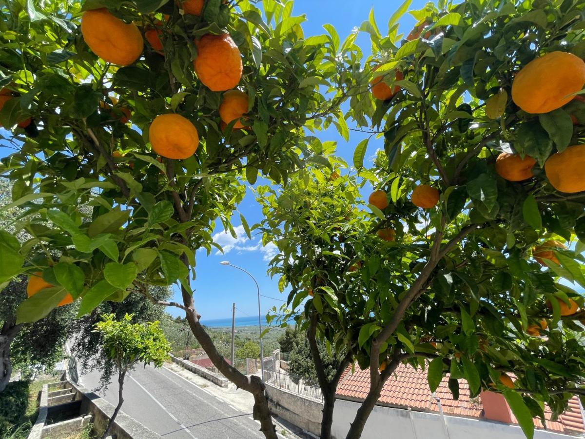 Villetta - Qui Dove Il Mare Luccica - Affitti Brevi Italia Monte SantʼAngelo Екстериор снимка