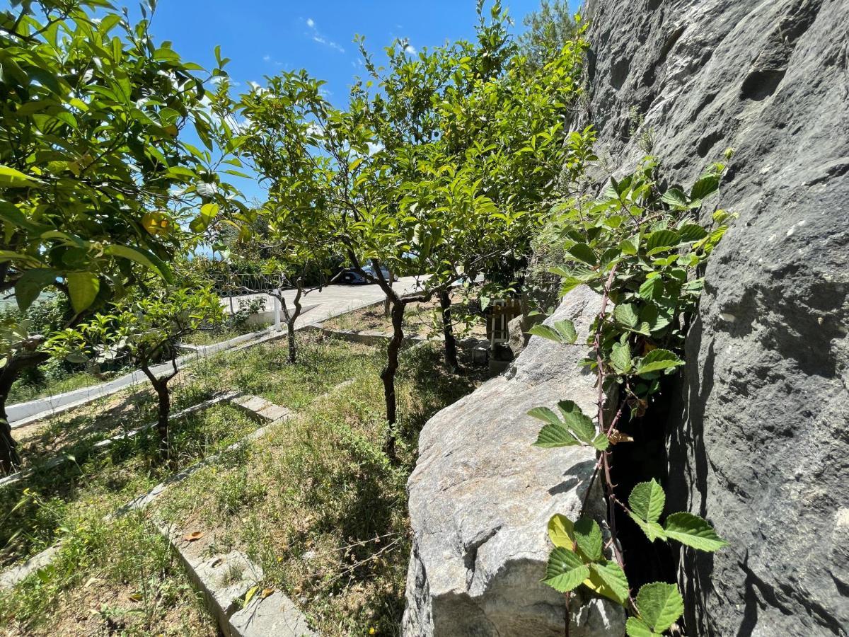 Villetta - Qui Dove Il Mare Luccica - Affitti Brevi Italia Monte SantʼAngelo Екстериор снимка